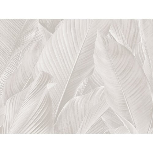 10,05m x 53cm 10,05m x 53cm