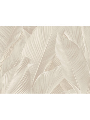 Dutch Tahiti - Banya lichtbeige - 13302