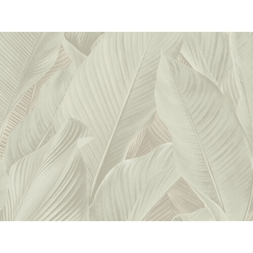 10,05m x 53cm 10,05m x 53cm