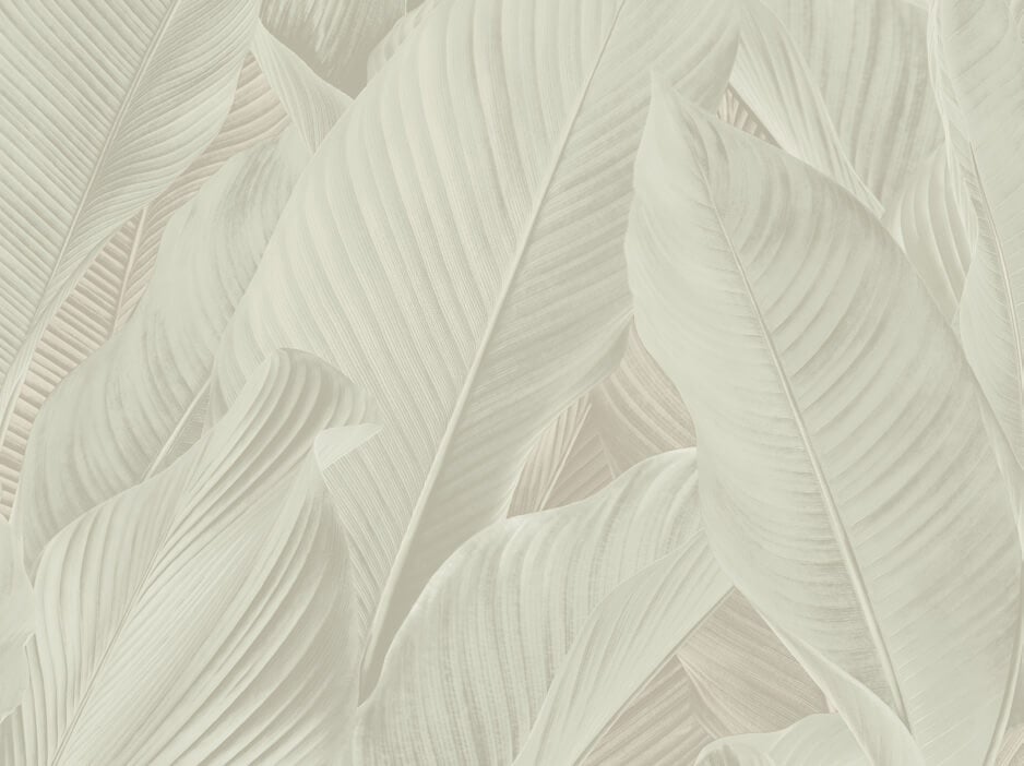 Dutch Tahiti - Banya creme - 13305