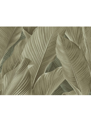 Dutch Tahiti - Banya groen/beige - 13306