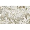 Dutch First Class FC Carrara 4- mural 500x300cm - 85658