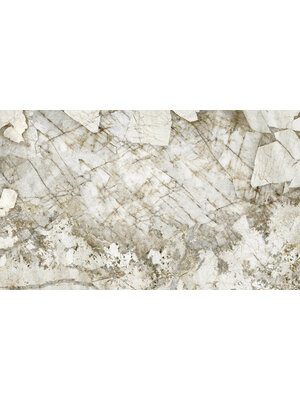 Dutch First Class FC Carrara 4- mural 500x300cm - 85658