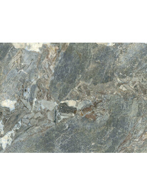 Dutch First Class FC Carrara 4- mural 400x300cm - 85660