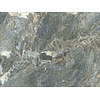 Wallquest FC Carrara 4- mural 400x300cm - 85660