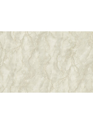 Dutch First Class FC Carrara 4- 10mx53cm - 86767