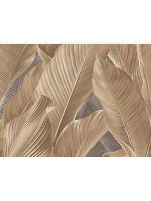 Dutch Tahiti - Banya beige - 13303