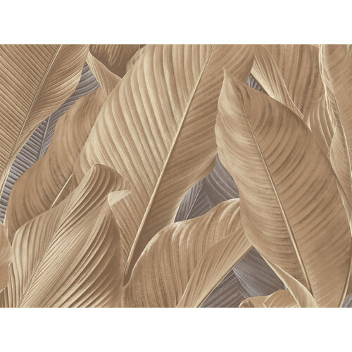 10,05m x 53cm 10,05m x 53cm