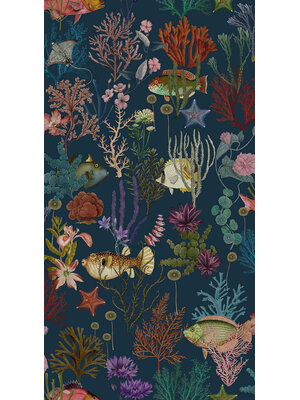 Holden FC Arboretum- Cora Navy - 99431
