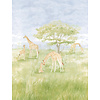 Decoprint Cute Walls- Giraffes 212x280cm - CW6112-2