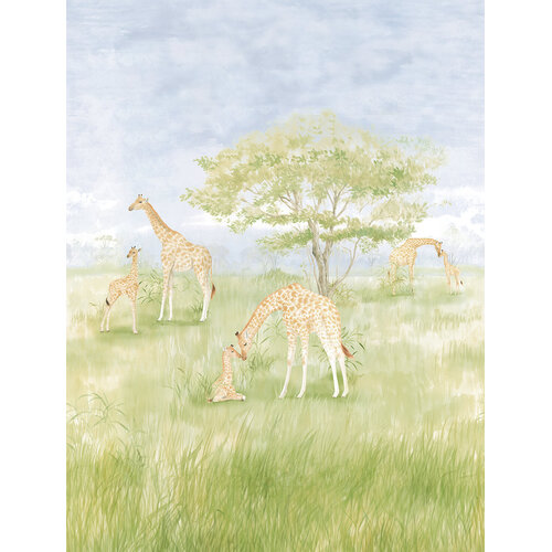 2,8m x 2,12m