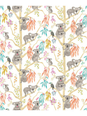 Ohpopsi When I Grow Up - Kooka Koala Pumpkin - WGU50126W