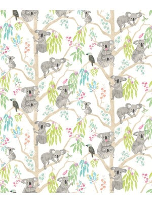 Ohpopsi When I Grow Up - Kooka Koala Candy Apple - WGU50127W