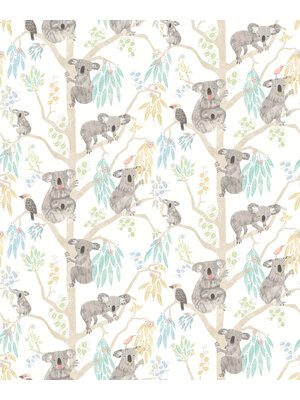 Ohpopsi When I Grow Up - Kooka Koala Sky - WGU50129W