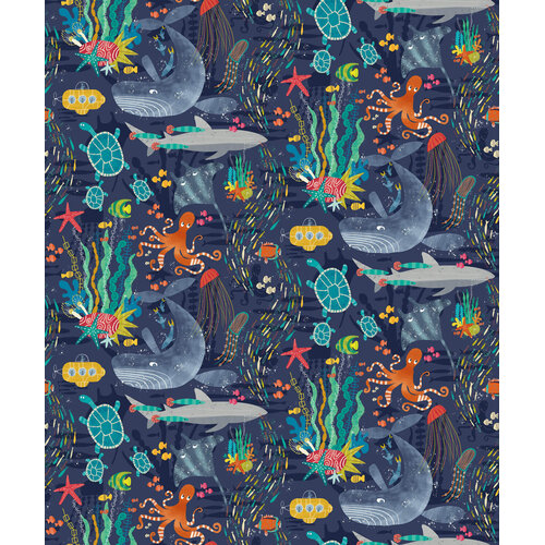 10,05m x 50cm