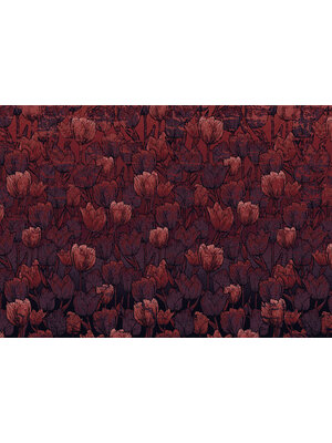 Komar Heritage Fotobehang Tulipe - HX8-051
