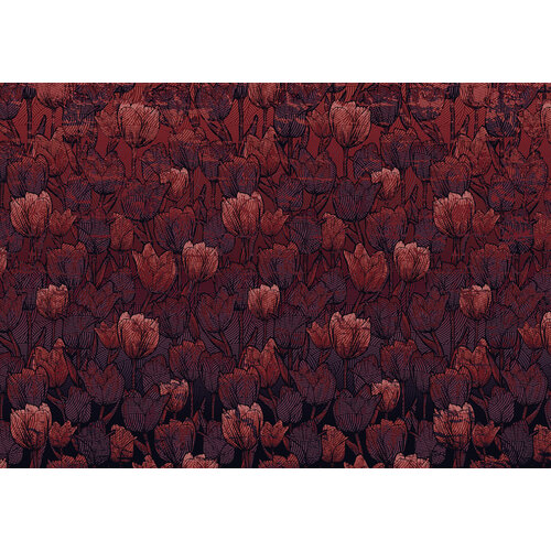 2,8m x 4m