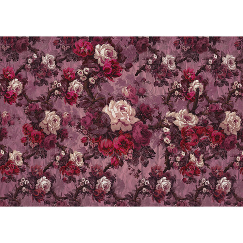 2,8m x 4m