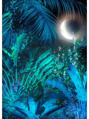 Komar Heritage Fotobehang Intense - HX4-036