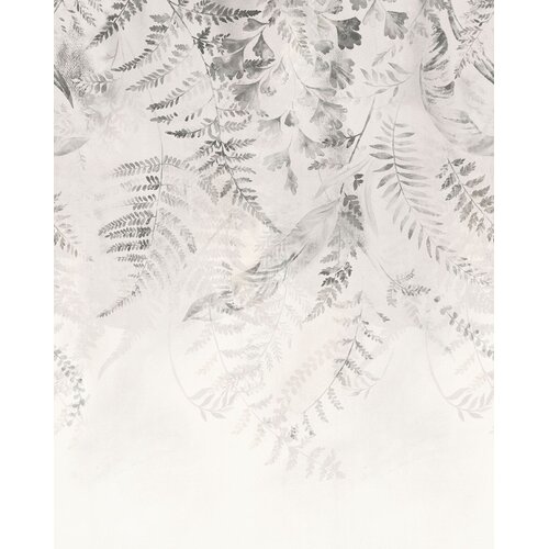 2,5m x 4m
