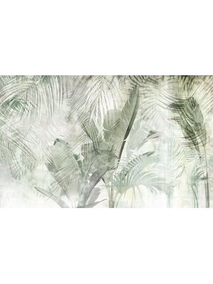 Noordwand Komar Infinity 2; Komar Pure 2 Fotobehang Botanical Boho - IF4-001