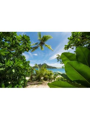 Komar Stefan Hefele; Komar Wanderlust Fotobehang Cast Away Jungle - SHX9-106
