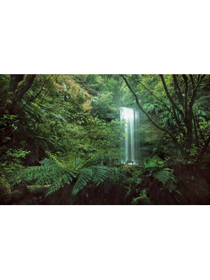 Komar Stefan Hefele; Komar Wanderlust Fotobehang Secret Veil - SHX9-125