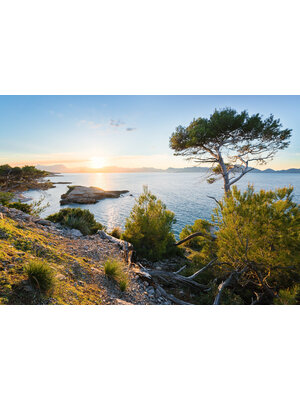 Komar Stefan Hefele; Komar Wanderlust Fotobehang Licht des SÃ¼dens - SHX8-013