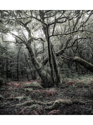 Komar Stefan Hefele; Komar Wanderlust Fotobehang Das Model - SHX5-018