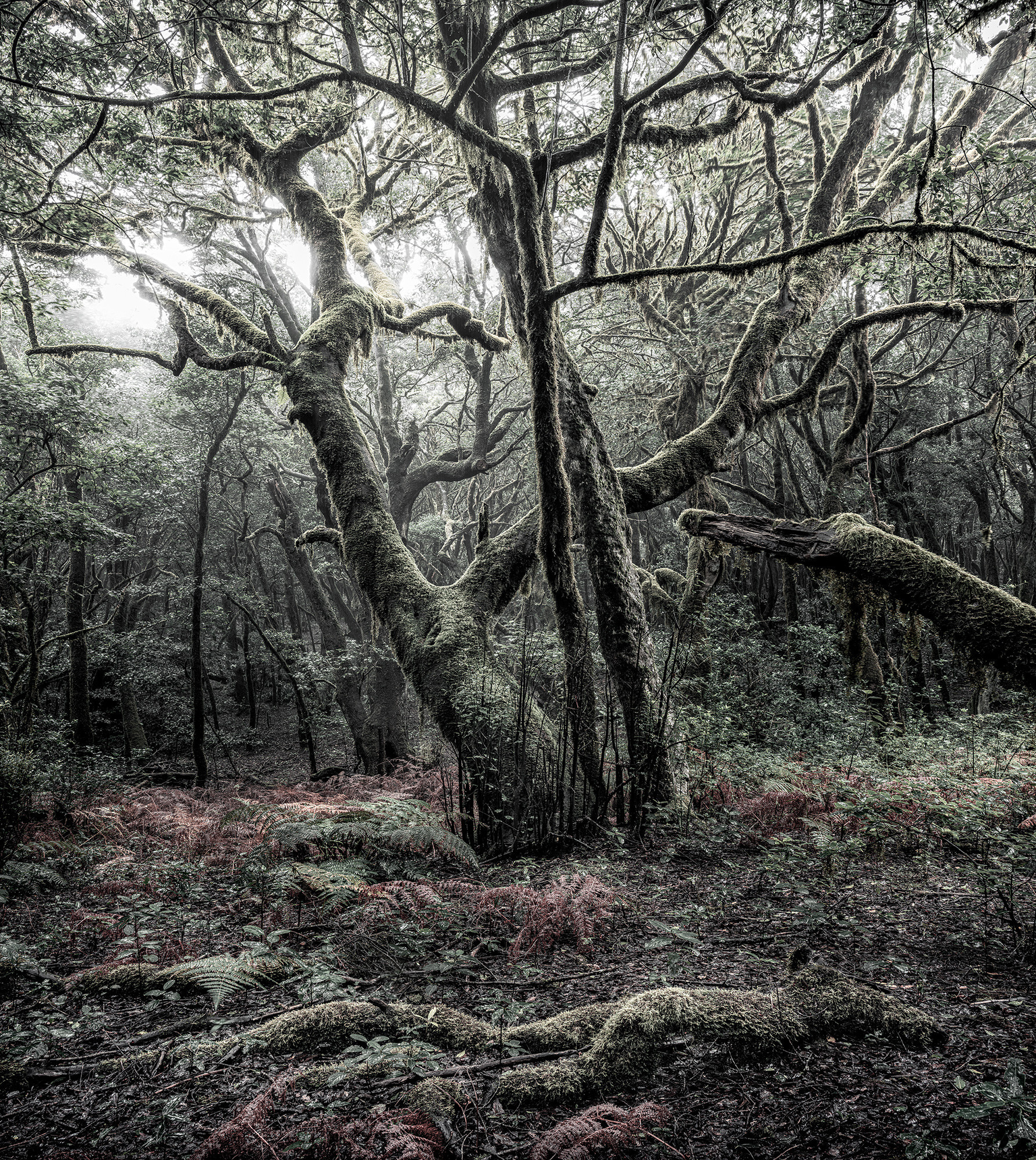 Komar Stefan Hefele; Komar Wanderlust Fotobehang Das Model - SHX5-018