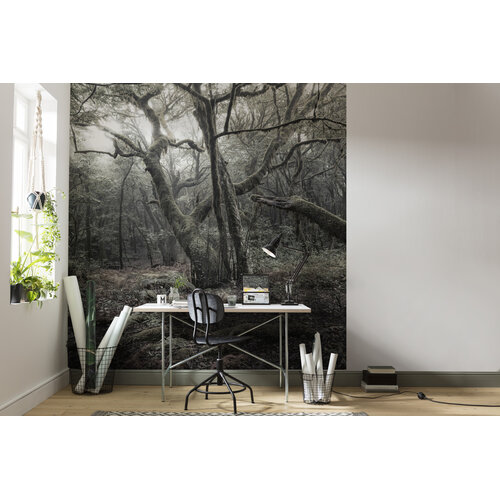 2,8m x 2,5m