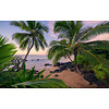 Komar Stefan Hefele; Komar Wanderlust Fotobehang Hawaiian Dreams - SHX9-116