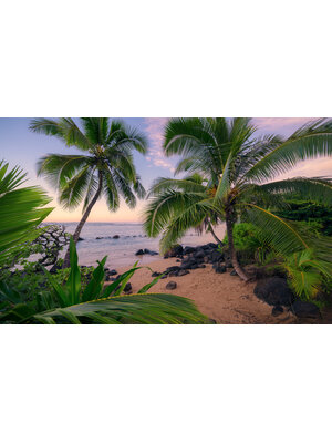 Komar Stefan Hefele; Komar Wanderlust Fotobehang Hawaiian Dreams - SHX9-116