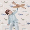 Dutch First Class World of Imagination - DL27549 - Aeroplanes Beige