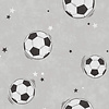 Dutch First Class World of Imagination - DL27590 - Footballs Grey
