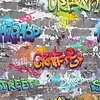 Dutch First Class Graffiti Wall Grey/Multi  - DL27592