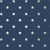 Dutch First Class Starry Motif Navy/Silver - DL27584 Dutch First Class Starry Motif Navy/Silver - DL27584