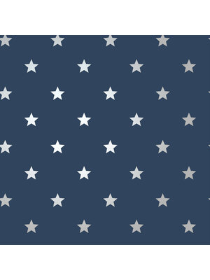 Dutch First Class World of Imagination - DL27584 - Starry Motif Navy/Silver