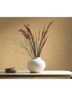 Dutch First Class Uni - 73810