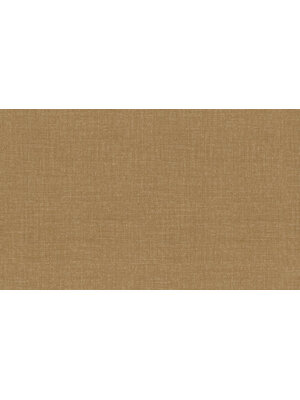 Dutch First Class Tendenze - 73810 - Uni