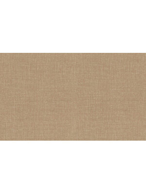 Dutch First Class Tendenze - 73847 - Uni