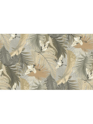 Dutch First Class Kraanvogels - 73823