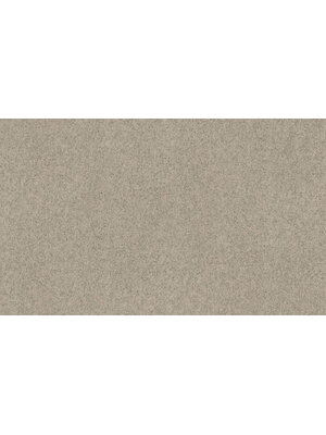 Dutch First Class Tendenze - 73833 - Uni
