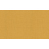 Dutch First Class Tendenze - 73848 - Uni