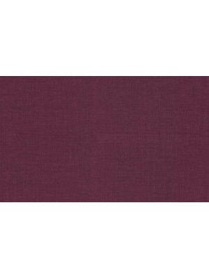 Dutch First Class Tendenze - 73861 - Uni