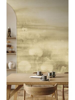 Dutch First Class x - 73899