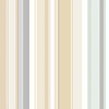 Ohpopsi So Stripey - STR50110W - Barcode Lichen