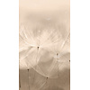 Grandeco Orom 2 - 203801 - Dandelion 159x280cm