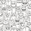 Holden Adventure Awaits - 14070 - Colour-me Cats Black/White
