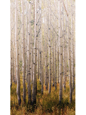 Grandeco Orom 2 - A42601 - Birch Tree 159x280cm